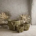 WhatsApp Image 2026-02-19 at 7.16.15 PM (30).webp