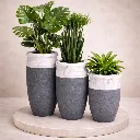 ChatGPT Image Mar 5, 2026, 07_32_08 PM.webp