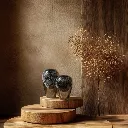 WhatsApp Image 2026-03-02 at 6.06.25 PM (1).webp