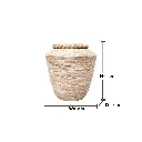 40.webp