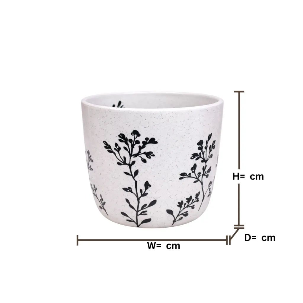 35.webp