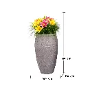 25.webp