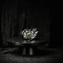 WhatsApp Image 2026-02-22 at 4.21.00 PM (8).webp