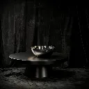 WhatsApp Image 2026-02-22 at 4.20.59 PM.webp