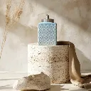 WhatsApp Image 2026-02-17 at 7.54.29 PM (8).webp