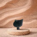 WhatsApp Image 2026-02-21 at 3.59.21 PM (1).webp