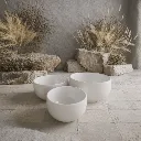 WhatsApp Image 2026-02-19 at 10.10.16 PM (3).webp