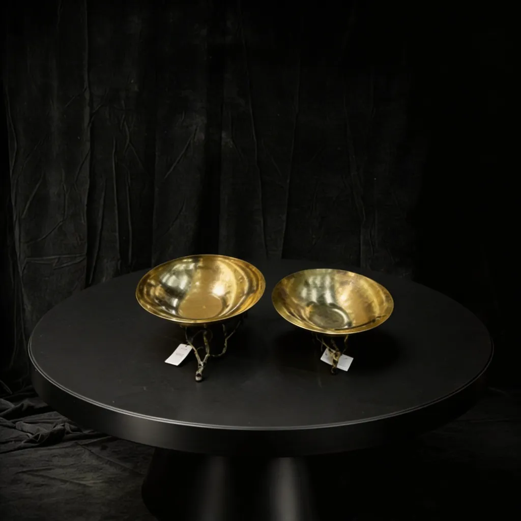 WhatsApp Image 2026-02-22 at 4.20.59 PM (1).webp