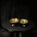 WhatsApp Image 2026-02-22 at 4.20.59 PM (1).webp