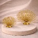 ChatGPT Image Mar 5, 2026, 04_55_40 PM.webp