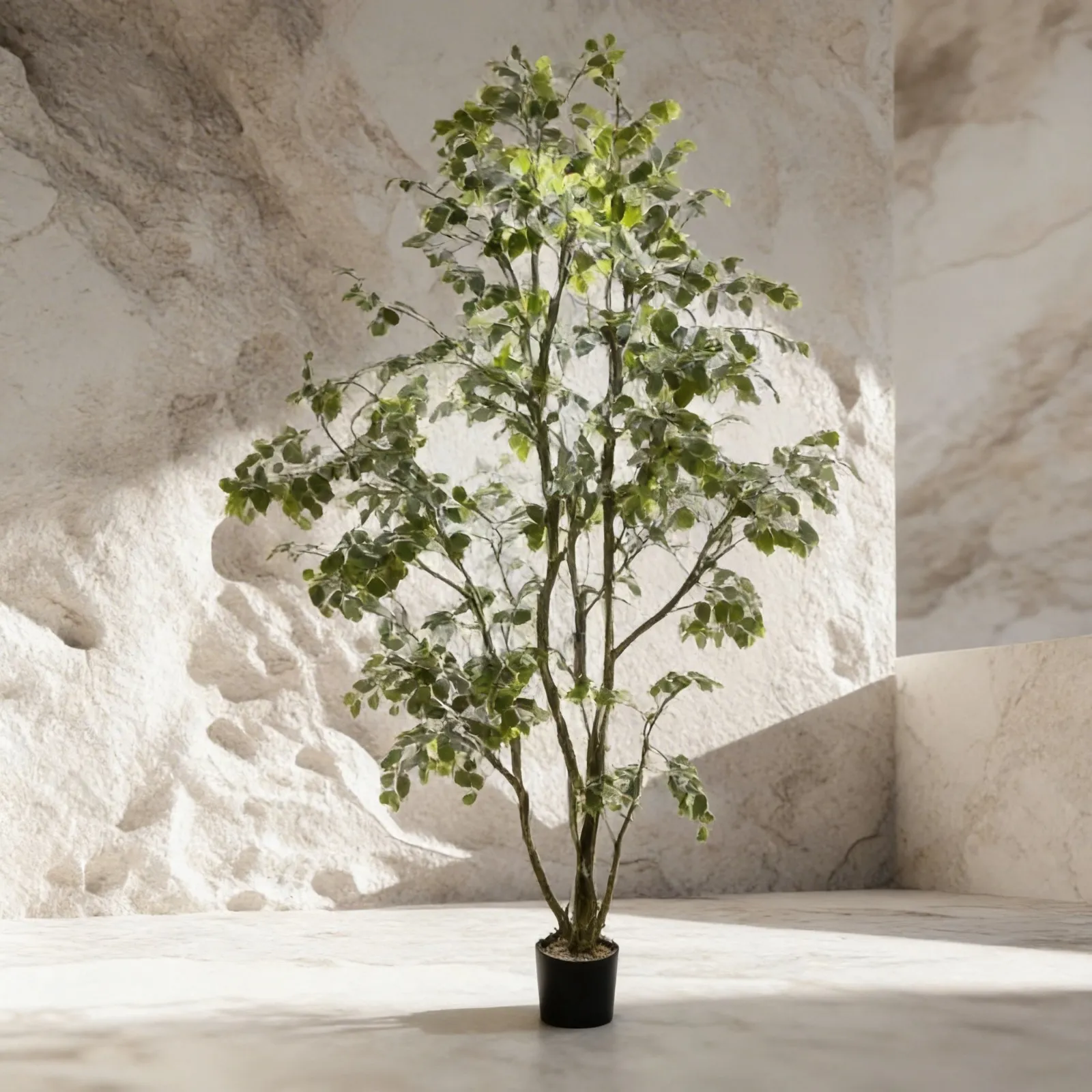 WhatsApp Image 2026-02-19 at 5.57.02 PM (1).webp