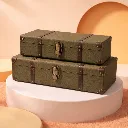 Dominion Campaign.webp