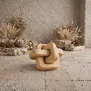 Natural wooden knot in sunlit setting.webp