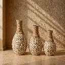 Natural elegance in a sunlit corner.webp