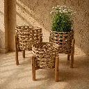 Sunlit woven baskets with greenery.webp