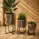 Warm sunlight and modern planters.webp