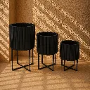 Minimalist interior with black planters.webp