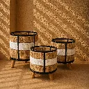 Sunlit modern boho planter arrangement.webp