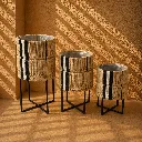 Sunlit minimal boho planters arrangement.webp