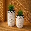 Minimalist woven planters in sunlight.webp