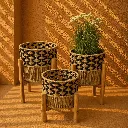 Sunlit woven basket planters arrangement.webp