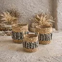 Rustic woven baskets and dried botanicals.webp