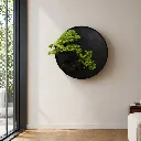 Minimalist interior with bonsai art.webp