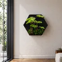 Minimalist living room with bonsai art.webp