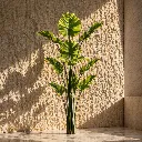 Sunlit tropical plant in modern corner.webp