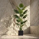 Sunlit plant in minimalist interior.webp