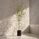 Minimalist plant in clean, sunlit space.webp