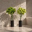 Minimalist still life with green berries.webp