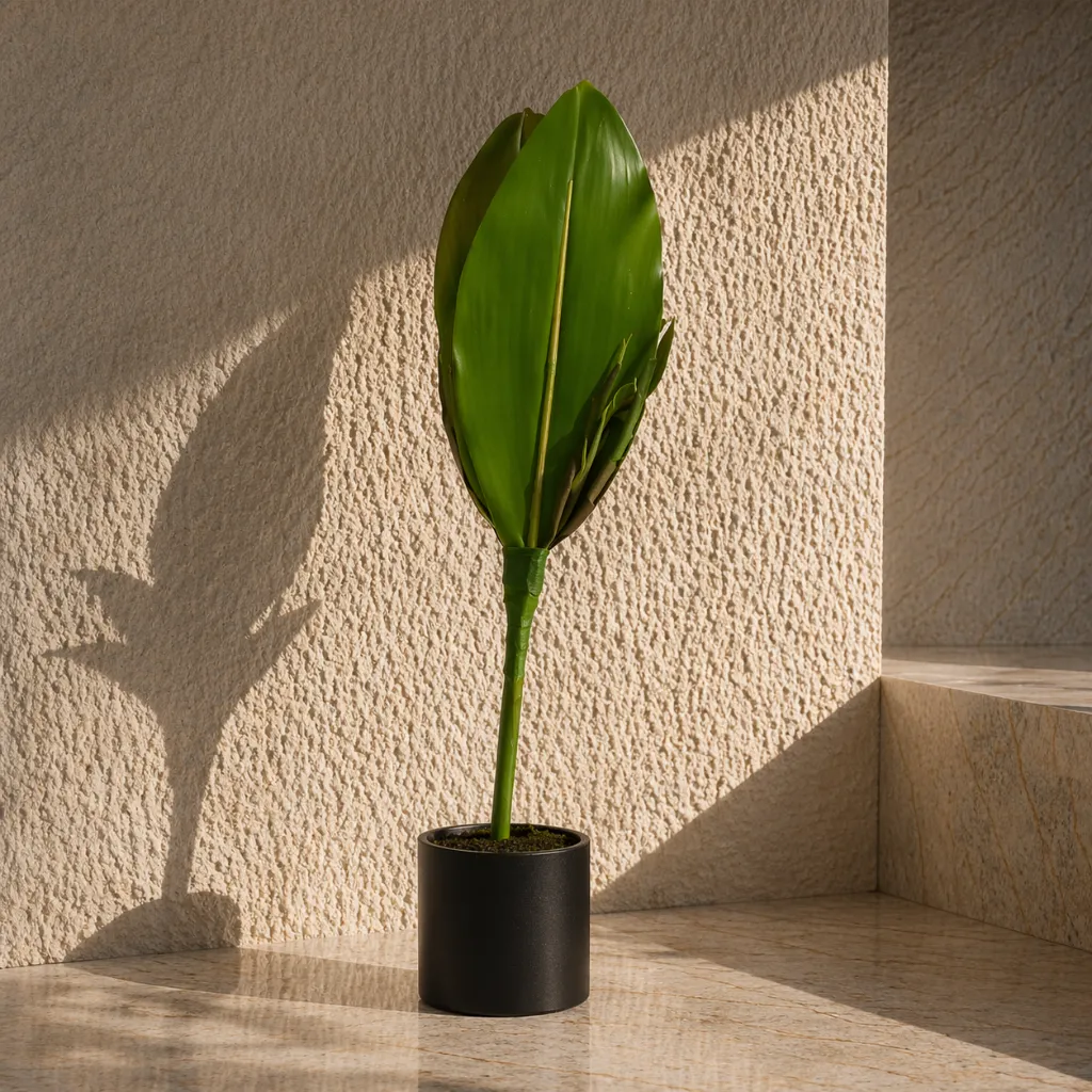 Tropical plant in minimal sunlight setting.webp