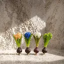 Sunlit hyacinths on marble surface.webp