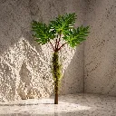 Sunlit plant in stone corner.webp