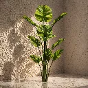 Sunlit corner with variegated plant.webp