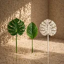 Minimalist leaves in soft sunlight.webp