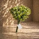Sunlit greenery on polished stone.webp