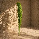 Sunlit corner with trailing foliage (1).webp