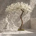 Serene tree in minimalist interior light.webp