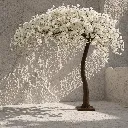 Serene blossom tree in minimalist space.webp