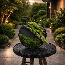 Serene garden bonsai at dusk (1).webp