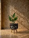 Sunlit rustic corner with planter (1).webp
