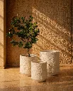 Sunlit serenity with decorative planters.webp
