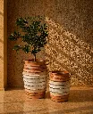 Rustic terracotta still-life with sunlight.webp