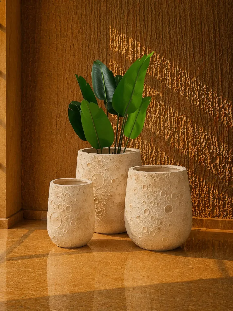 Warm sunlight and textured planters.webp