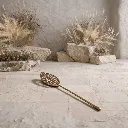 WhatsApp Image 2026-02-19 at 6.18.20 PM.webp