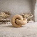 WhatsApp Image 2026-02-19 at 7.18.06 PM (63).webp