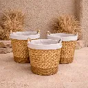 jo.webp