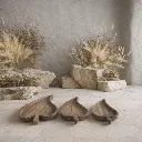 WhatsApp Image 2026-02-19 at 6.18.20 PM (14).webp